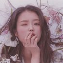 고여도 네이버블로그