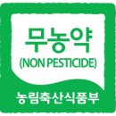 블루베리 생과 따뜻한하루에서 무농약 블루베리 구매후기