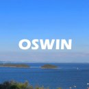 오스윈(oswin)