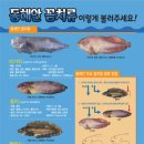 동해(동해)휴게소 이미지