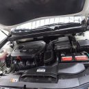 현대중고차매매상사 이미지