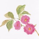 들꽃그림 천아트 이미지