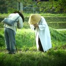 사암2리 이미지