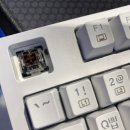 게이밍키보드 갈축 콕스 CK777 넌클릭 사용후기