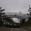 국영목장 이미지