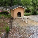 원경펜션 이미지