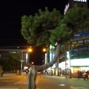 해주면옥 이미지