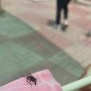 달다 - 청주시 흥덕구 내수동로55번길 16 | 달다