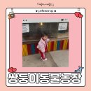 [공지] 쌍둥이 동물 농장