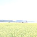 장흥군회진면보건지소 이미지