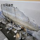 한마루럭키 이미지