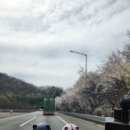 [거제 여행] 2박3일 봄 거제 여행 - 보영반점/매미성/삼삼해물/흑진주몽돌해수욕장/뚝심몽돌조개구이
