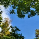 영축산 순환산책로 이미지