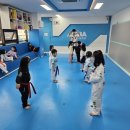 용인대 세심 태권도장 이미지