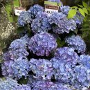 다양한 형태의 가족제도를 허(許)하라! #변호사강정한 #대구가정법원변호사 #이혼전문변호사 이미지