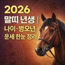 청마정비 | 말띠 년생 나이 2026 운세