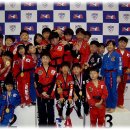 송암ATA태권도 Daum카페