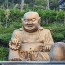 해동헬스케어 이미지