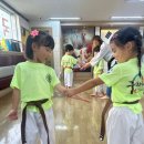 국가대표 디테일 태권도장 이미지