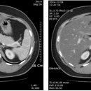 김일봉내과의원 이미지