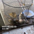 그린좌대2 낚시터 이미지
