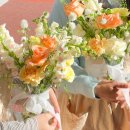 갈마로L | 대전 갈마동 꽃집 디어모모 꽃꽂이 원데이클래스 내돈내산 (화병꽂이 1인 6만원)