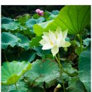 경주;머물다3 이미지