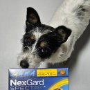 광주친절한동물약국 이미지