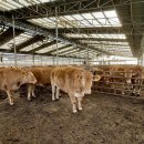 승지목장 이미지