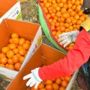 우주농장 이미지