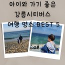 아이와 가기 좋은 강릉 시티버스 여행 명소 BEST 5, 시티버스 노선, 운행시간, 유의사항