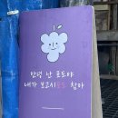내촌농장 | 넉고개 포도 농원/포도밭에서 직접 딴 포도/포천포도/내촌포도/소문난 포도 맛집/내돈내산 포도 맛집