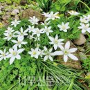 나무와창 이미지