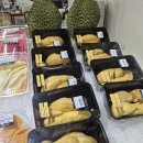 제우스팜 | 251224 쿠알라룸푸르 TRX 쇼핑물 마켓 마트 메르카토 물가 탐방