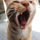 군산해동약국 이미지