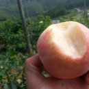 재규농장 이미지