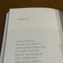 책 속 세상 | 어제 일어난 일 조차도 감당하기 힘든 세상 속에 사는 당신 ‘다 괜찮다’ 책 후기
