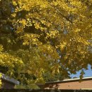 정읍동초등학교 이미지