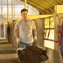 상필농장 이미지