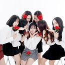 미스터포토 이미지