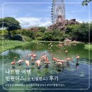 [나트랑 여행] 빈원더스(구.빈펄랜드) 후기, 사파리 워터파크 놀이기구 한 번에!