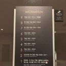 충주펫 | 켄싱턴 리조트 충주 애견 동반 여행 스튜디오 펫 룸 조식 후기