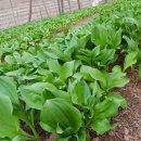 종근농장 이미지