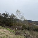강원도 홍천 캠핑장 두미리관광농원(새소리캠핑장) 가을 차박 캠핑 후기