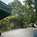 새들의아침 | 충북 괴산 쌍곡계곡 새들펜션 평상대여 내돈내산 후기/ 취사 가능한 계곡 수심 주차