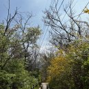 케이에스 시스템 이미지