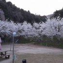 숲속펜션 이미지