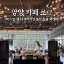북카페숲 - 안양시 동안구 귀인로 262 | 양양 카페 로그 | 비 오는 날도 매력적인 통창 숲뷰 북카페,가격, 내돈내산 후기