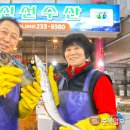 지씨수산 이미지