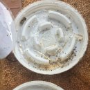 마이트K 의 효능을 확인 했습니다. 이미지